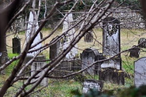 cimitero, tombe, rami, lapidi, erba, albero, croce