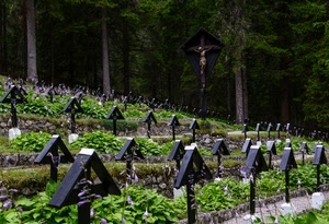 cimitero, croci, alberi, tombe, foglie, verde, piante, croce, guerra, crocifisso, legno, fiori