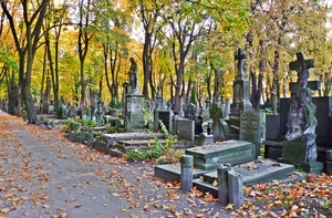 cimitero, tombe, croci, foglie, alberi, lapidi, viale, statue, autunno, piante, monumenti