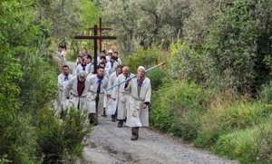 verde, processione, alberi, croci, bianco, sentiero, uomini, strada, croce, persone, confratelli, devozione, piante, bosco