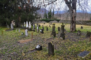cimitero, lapidi, alberi, tombe, verde, prato, erba, rami, muro