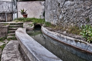 acqua, lavatoio, vaso, canale, scalini, scale, gradini, muro, piante, riflesso, pietra, pianta