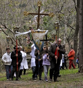 processione, devozione, croce, alberi, persone, croci, crocifisso