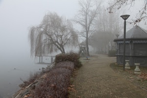 nebbia, alberi, acqua, lampione, inverno, salice, lampioni, fiume, foschia, edicola, piante, chiosco, pontile, parco, strada, lago, rami