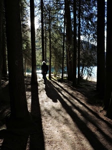 alberi, bosco, lago, ombre, persona, verde, luce, sentiero, rami, acqua, cielo, ombra, controluce, montagna