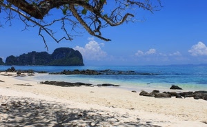 mare, spiaggia, sabbia, albero, scogli, rami, acqua, nuvole, blu, cielo