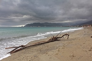 mare, spiaggia, sabbia, nuvole, acqua, tronco, legno, ramo, maltempo, cielo