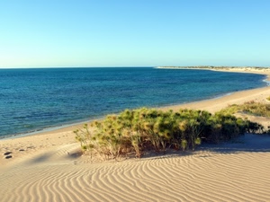 mare, sabbia, spiaggia, cielo, piante, cespugli, acqua, verde, blu