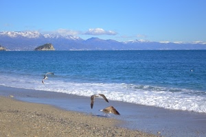 mare, uccelli, spiaggia, sabbia, nuvole, onde, acqua, cielo, montagne, isola, gabbiani, ali, schiuma, onda, animali, volare, azzurro