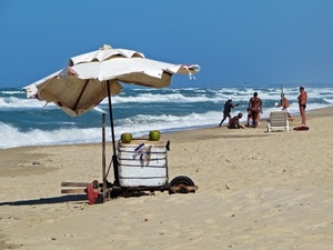 mare, spiaggia, ombrellone, sabbia, onde, bagnanti, vento