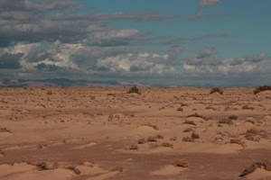 deserto, cielo, nuvole, sabbia, arbusti, erba, cespugli, piante