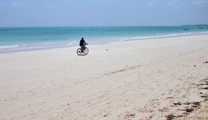 mare, spiaggia, bicicletta, sabbia, acqua, cielo, ciclista, passante, onde, azzurro