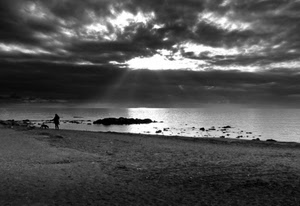 mare, nuvole, spiaggia, bianconero, cielo, cane, persona, raggi, sabbia, scoglio, controluce, riflesso