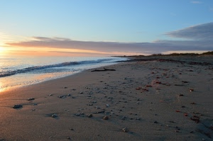 mare, sabbia, spiaggia, cielo, tramonto, onda, nuvole, acqua, alba
