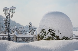 neve, lampione, bianco, inverno, freddo, lampioni, cespuglio, palla, piante, alberi