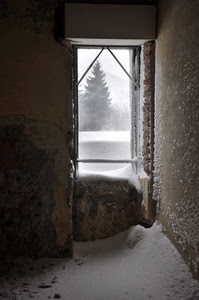 neve, finestra, albero, inverno, bianco, casa, stanza, abete, rudere, apertura, interno