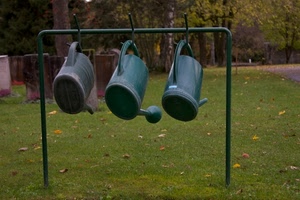 tre, verde, prato, annaffiatoi, alberi, innaffiatoi, erba, foglie, appesi, bagnafiori