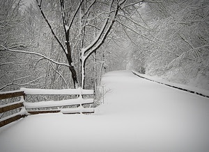 neve, strada, staccionata, inverno, bianco, alberi, rami, bianconero, albero, steccato, innevata, freddo
