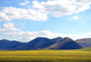 nuvole, montagne, cielo, fiori, panorama, campo, giallo, campi, colline, prato, colori