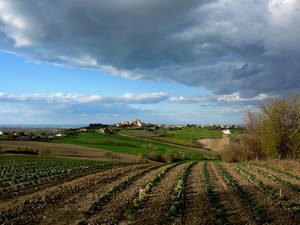 nuvole, panorama, cielo, colline, campi, campo, coltivazione, campagna, paese, paesaggio, alberi