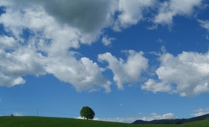 nuvole, albero, cielo, verde, azzurro, bianco, collina, prato, paesaggio, colline, prati, panorama, nubi