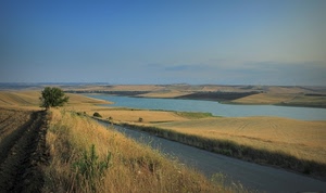 albero, acqua, cielo, verde, strada, azzurro, panorama, colline, fiume, lago, erba, campi, paesaggio, alberi, nuvole, giallo