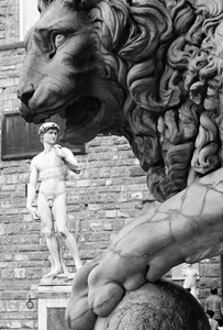 leone, statua, zampa, bianconero, firenze, statue, marmo, bocca, nudo, sculture, muso, davide, uomo, toscana, muro, criniera, occhi, david, prospettiva