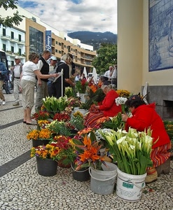 fiori, rosso, colori, vasi, persone, secchi, bianco, strada, case, calle, arancione, fioraia, fiorista, verde, piazza, donne, via, palazzi, nuvole, vendita, mercato, finestre, sassi