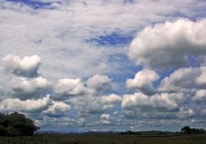 nuvole, cielo, alberi, bianco, azzurro, verde, campagna, natura, cirri, campi, orizzonte