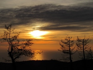 alberi, sole, nuvole, mare, cielo, tramonto, controluce, giallo, acqua, riflesso, riflessi, silhouette, paesaggio, rami