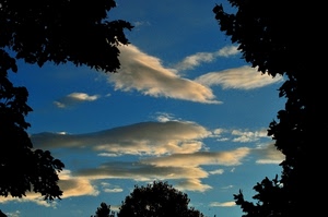 nuvole, cielo, alberi, azzurro, controluce, bianco, grigio, nuvola, foglie, fronde, nero, rami