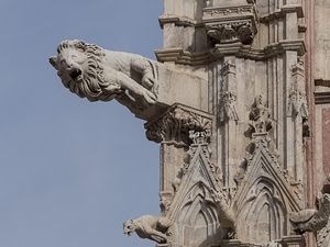 chiesa, leone, statua, marmo, cielo, pietra, statue, gotico, sculture, dettaglio, particolare, duomo, animali
