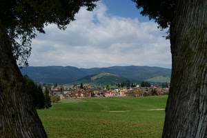 alberi, panorama, paese, prato, paesaggio, colline, montagne, verde, campagna, tronchi