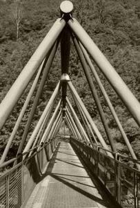ponte, bianconero, passerella, tubi, prospettiva, ringhiere, geometrico, alberi, ferro