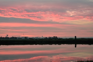 tramonto, fiume, nuvole, rosa, riflessi, acqua, cielo, città, riflesso, mare, panorama, rosso