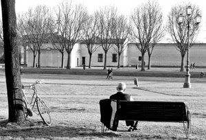 panchina, bicicletta, lampione, alberi, bianconero, parco, albero, prato, bianco