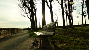 panchina, controluce, alberi, lampioni, parco, strada, prato, viale