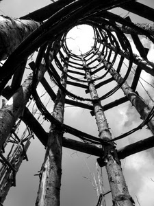 legno, cielo, prospettiva, bianconero, pali, cerchi, torre, nero, tronchi