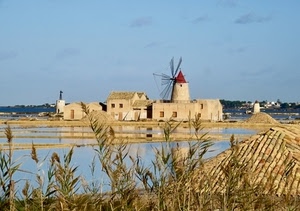 mulino, pale, acqua, saline, tegole, cielo, canne, tetto, case, salina, piante, vasche, azzurro, mare, tetti, finestre, vento