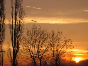 aereo, tramonto, alberi, sole, nuvole, arancio, cielo