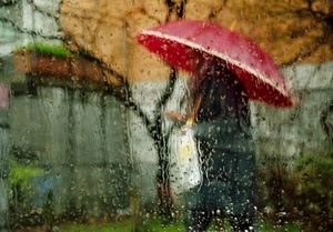 ombrello, pioggia, gocce, vetro, rosso, acqua, passante, albero, persona, finestra, rami