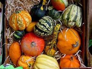 verde, zucche, paglia, arancione, giallo, arancio, zucca, colori, rosso, scatola, verdura, cassetta