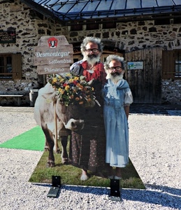 mucca, fiori, barba, casa, occhiali, animale, verde, due, capelli