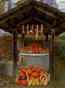 zucche, pozzo, tetto, arancione, legno, verde, giallo, erba, arancio, gialle, palazzo, pali, case, tegole, forme, ringhiera, tettoia, balcone, cemento