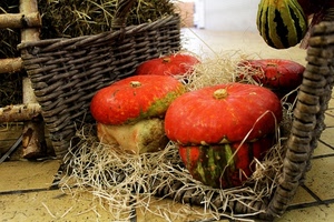 zucche, paglia, cesto, rosso, vimini, arancione, verde, giallo, ortaggi, zucca, scala, verdura, legno, arancio, pavimento