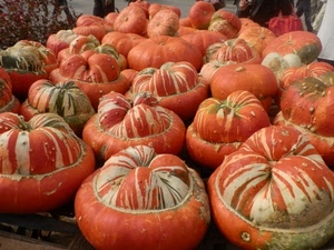 zucche, arancione, ortaggi, tante, verde, zucca, verdura, moltitudine, foglie, bianco, rosse, cibo, arancio, mercato