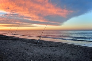 mare, tramonto, canne, spiaggia, pescare, nuvole, pesca, alba, sabbia