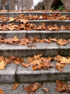 foglie, autunno, gradini, marrone, secche, scala, scalini