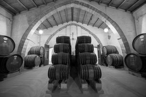 cantina, archi, botti, legno, vino, soffitto, bianconero, luci, travi, pile, tetto, cerchi, botte, lampioni, arco, volta, volte
