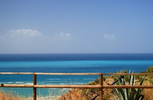 mare, cielo, nuvole, agave, staccionata, azzurro, orizzonte, pianta, onde, blu, legno, verde, acqua, dune, scogli, erba